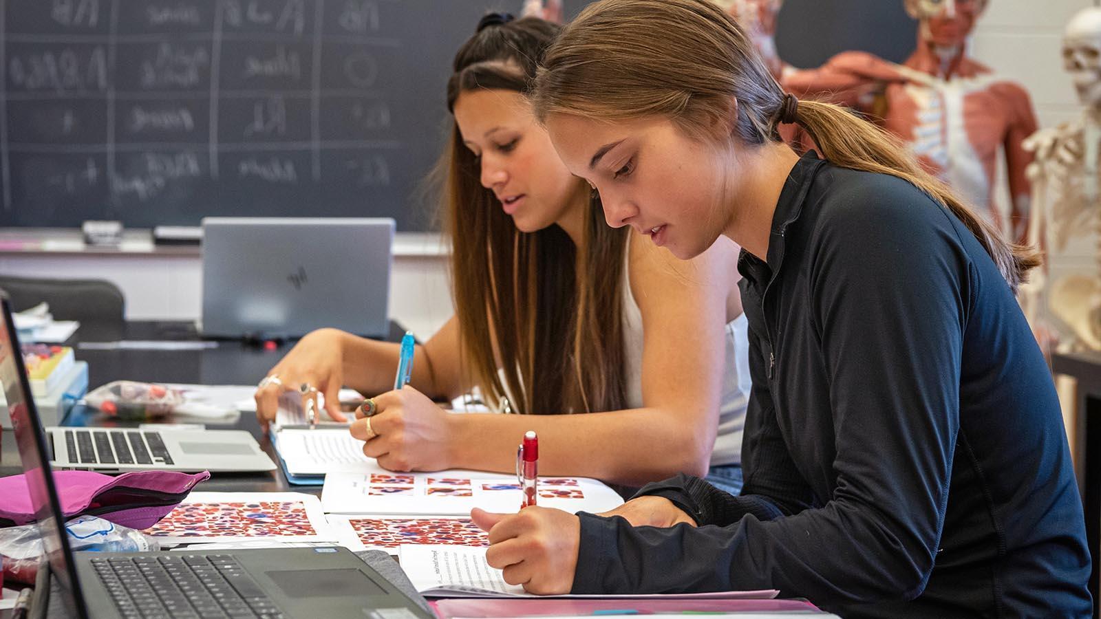  Two students working on anatomy homework.